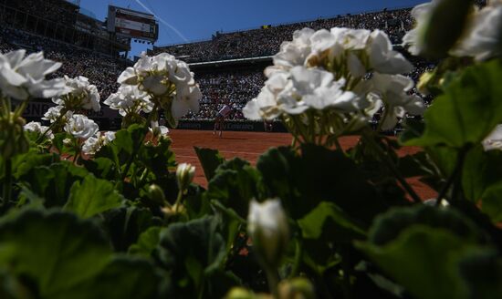 Tennis. Roland Garros. Day Fourteen
