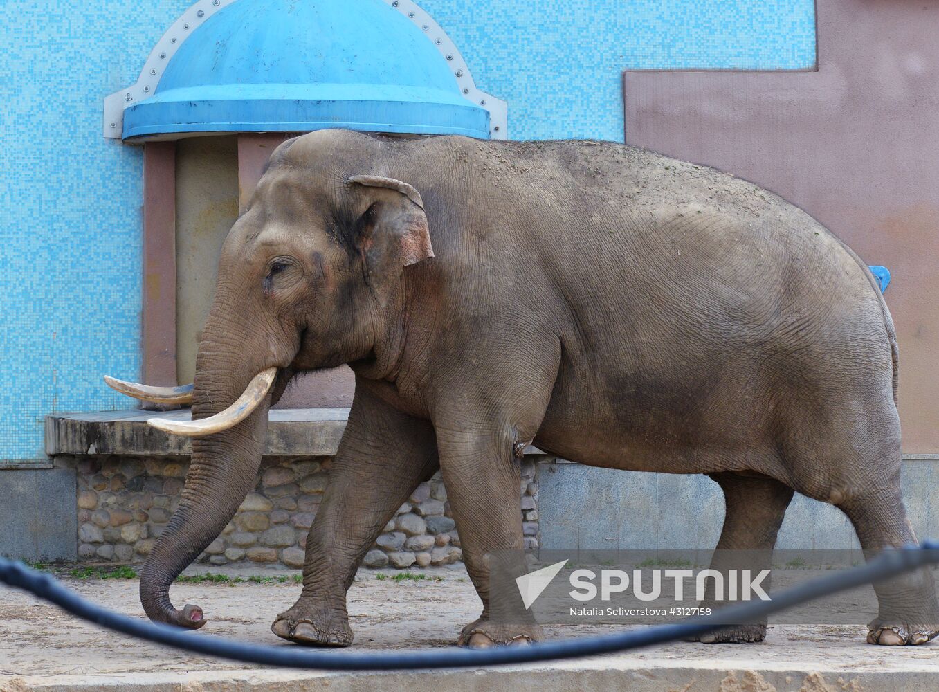 Moscow Zoo