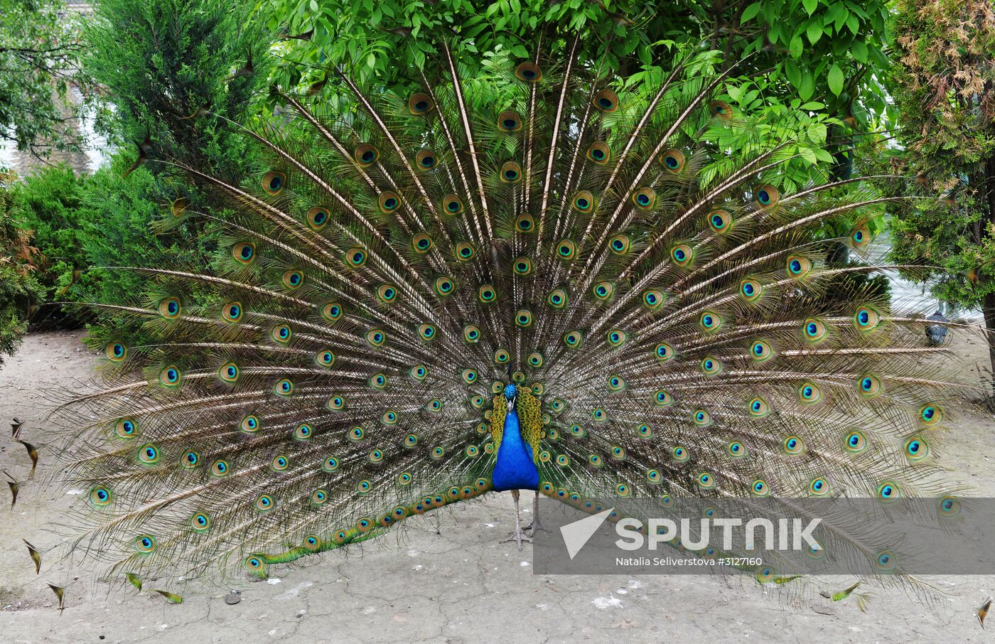 Moscow Zoo