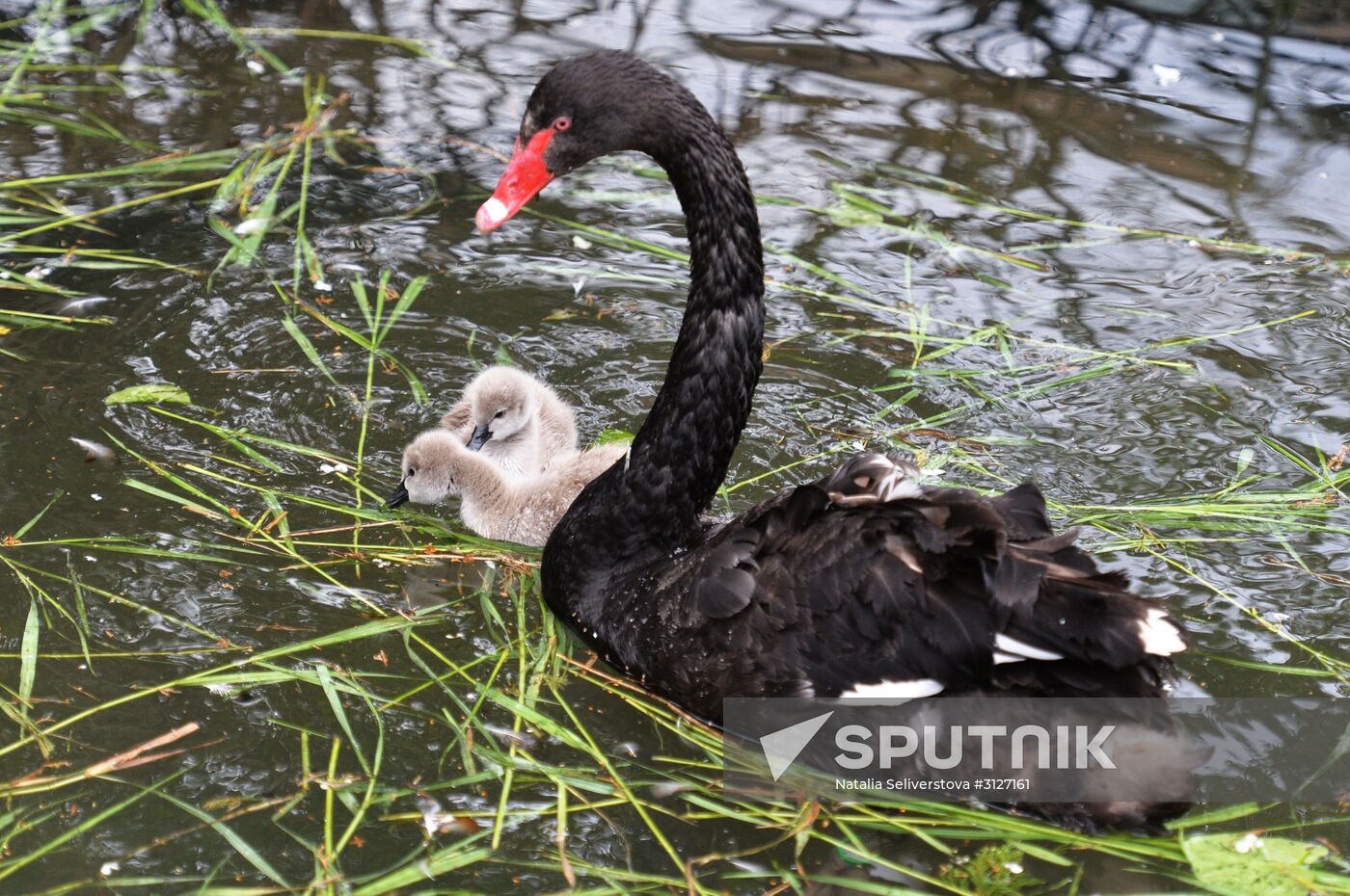 Moscow Zoo