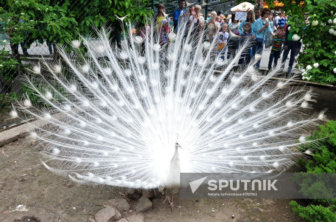 Moscow Zoo