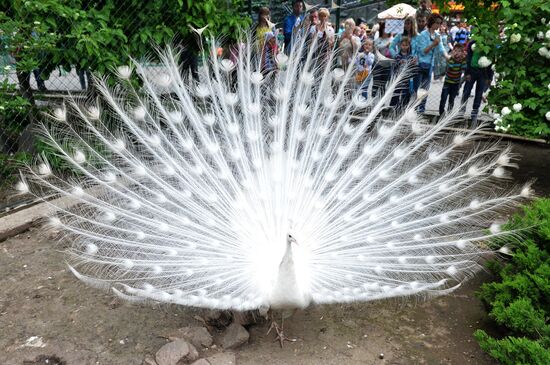 Moscow Zoo