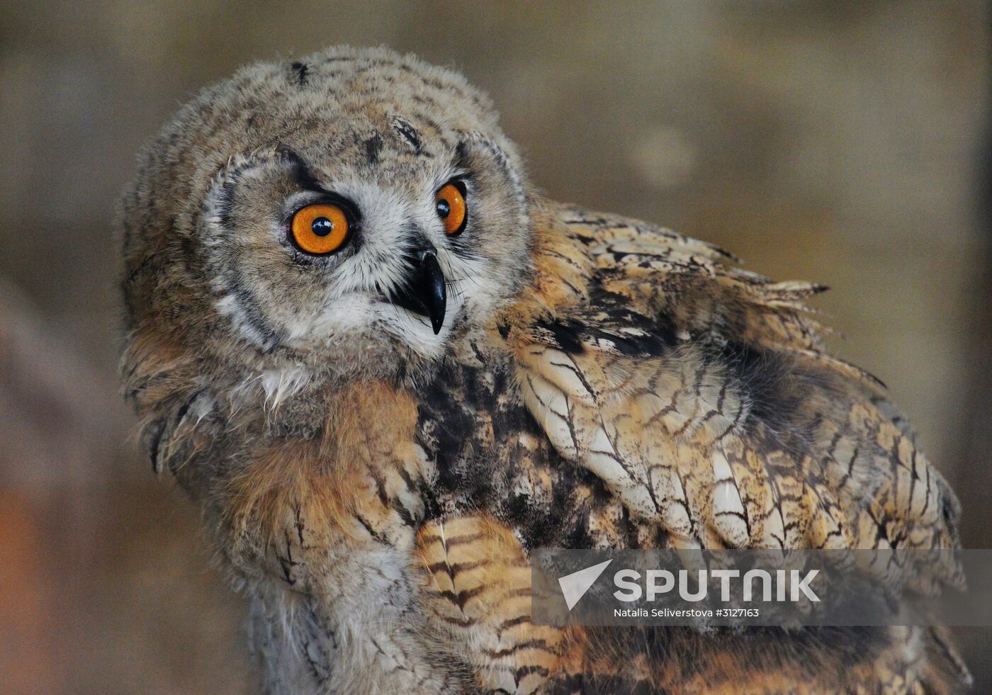 Moscow Zoo
