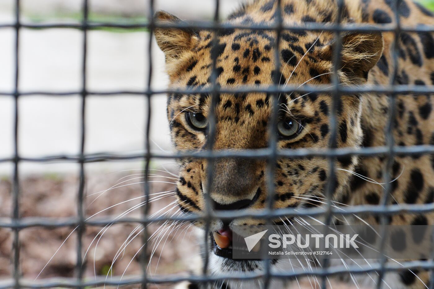 Moscow Zoo