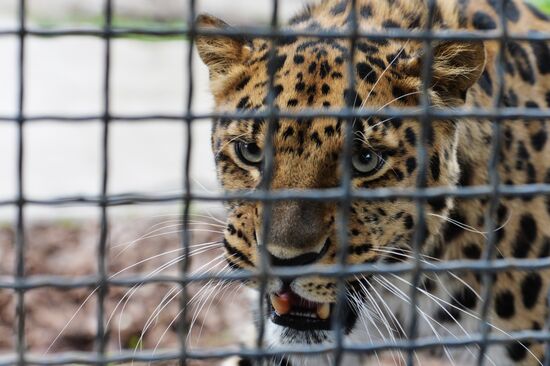 Moscow Zoo