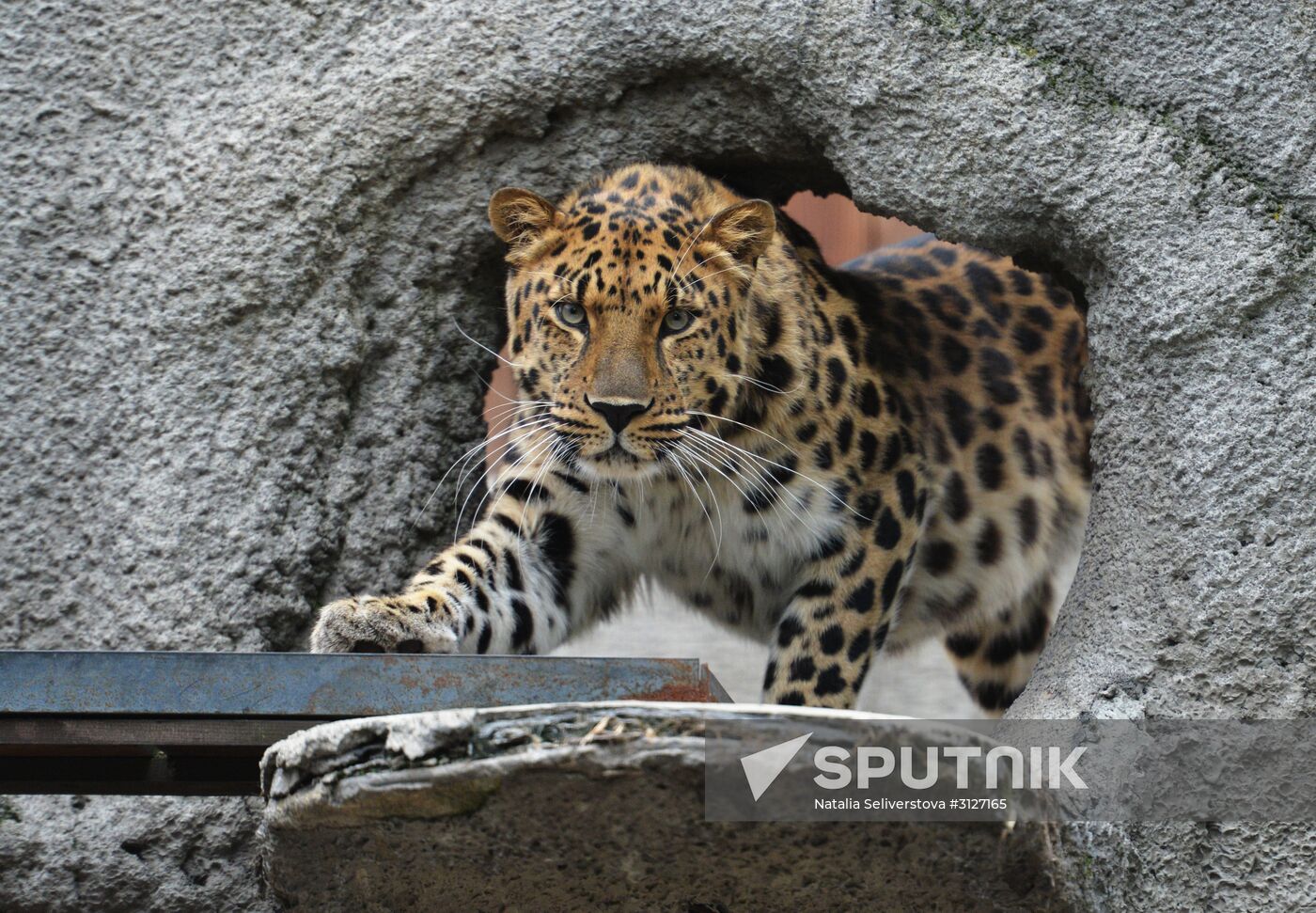 Moscow Zoo