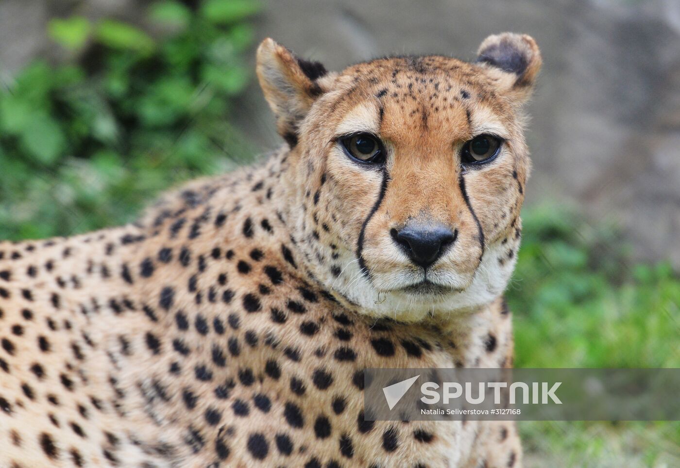 Moscow Zoo