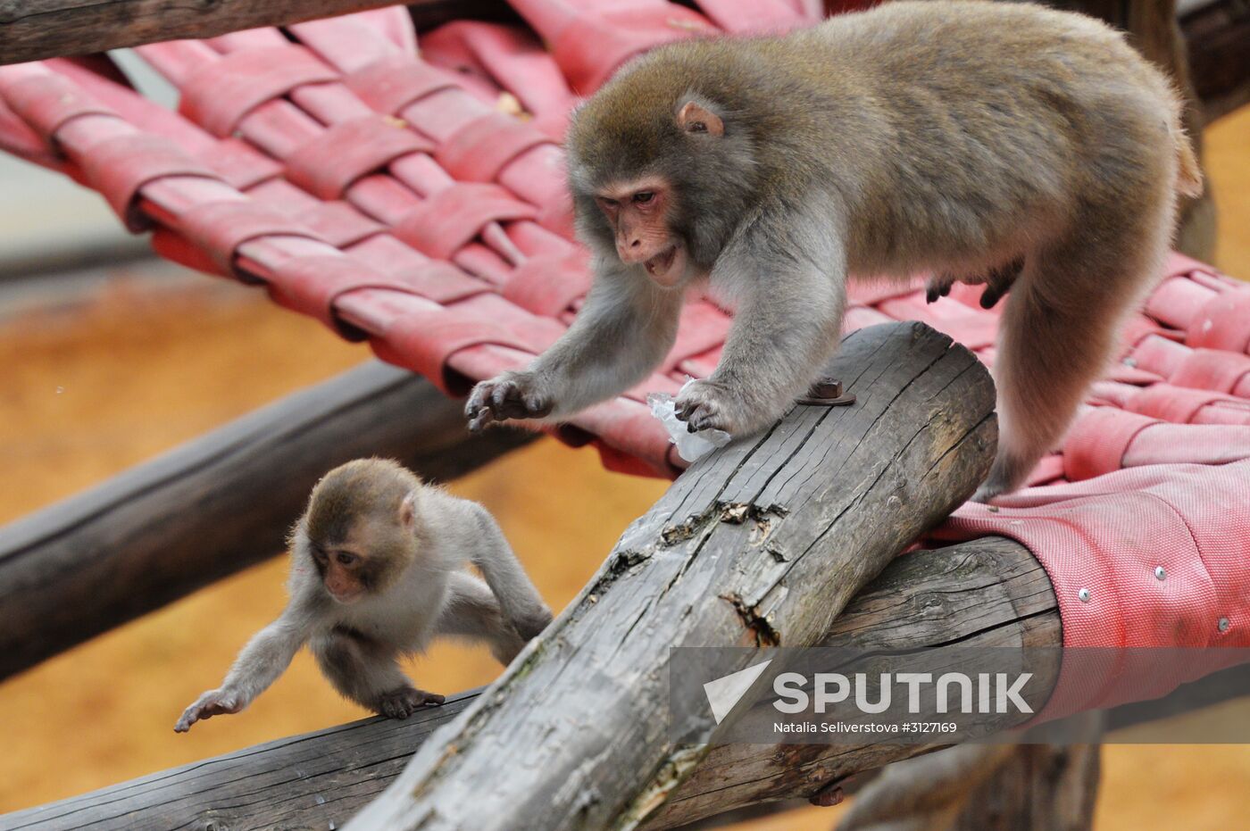 Moscow Zoo