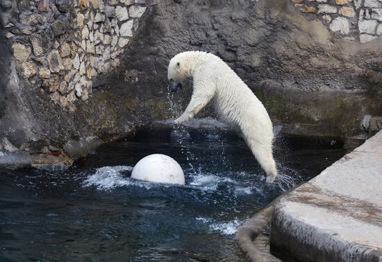 Moscow Zoo