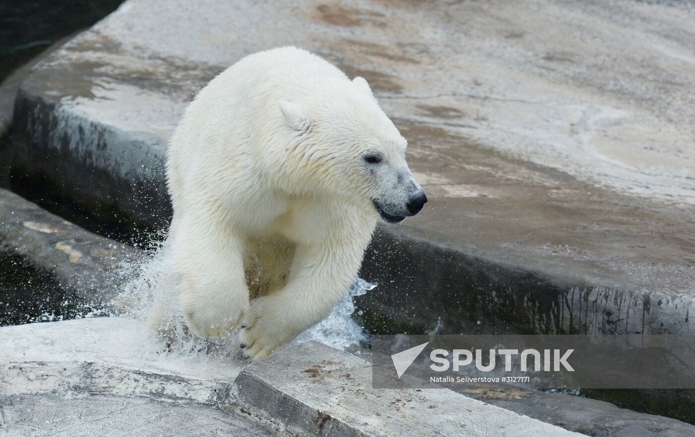 Moscow Zoo