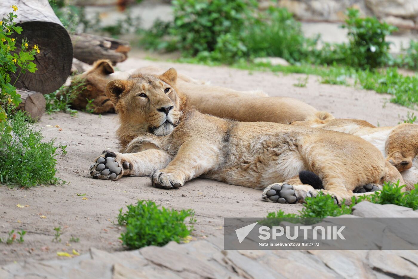Moscow Zoo