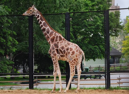 Moscow Zoo