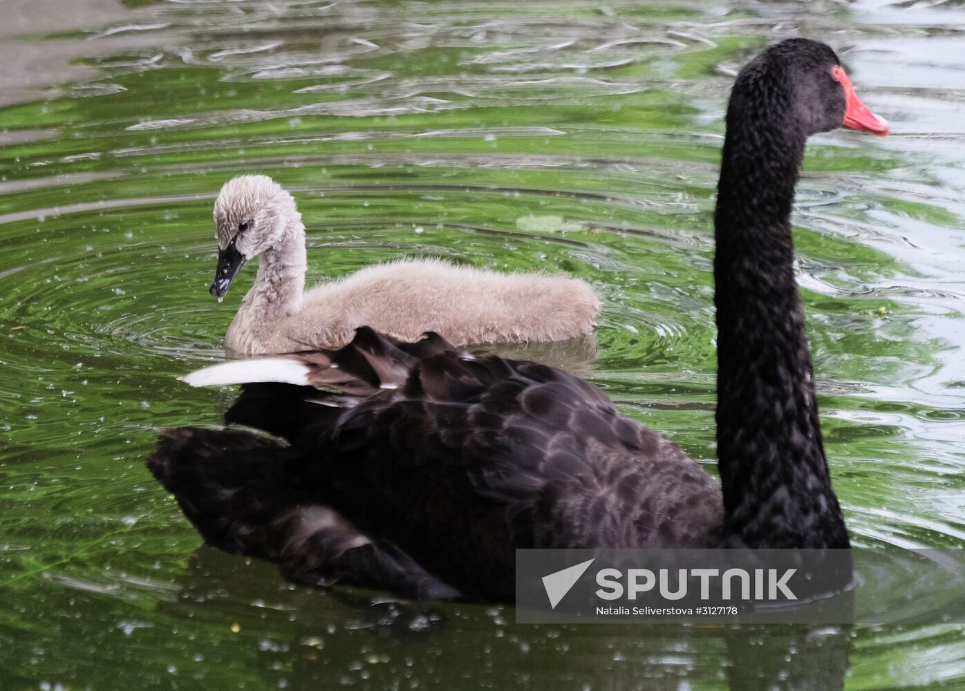 Moscow Zoo