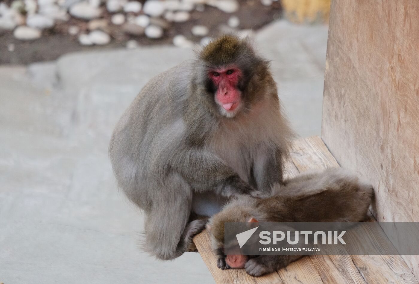 Moscow Zoo