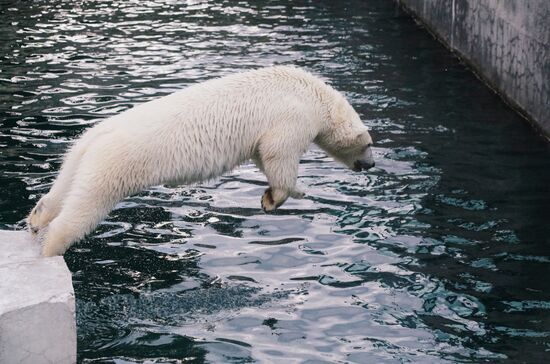 Moscow Zoo