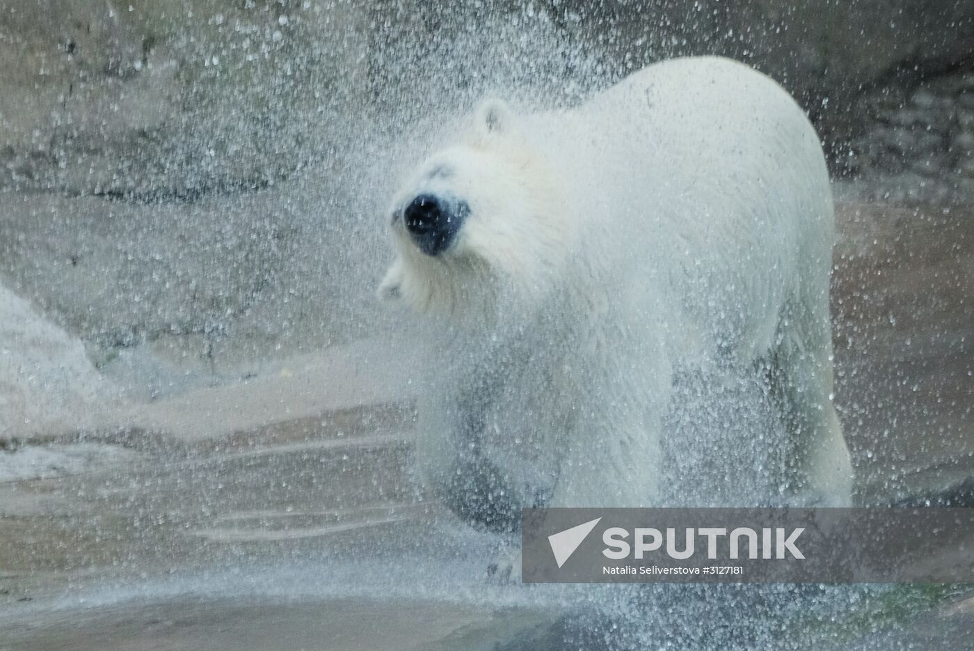 Moscow Zoo