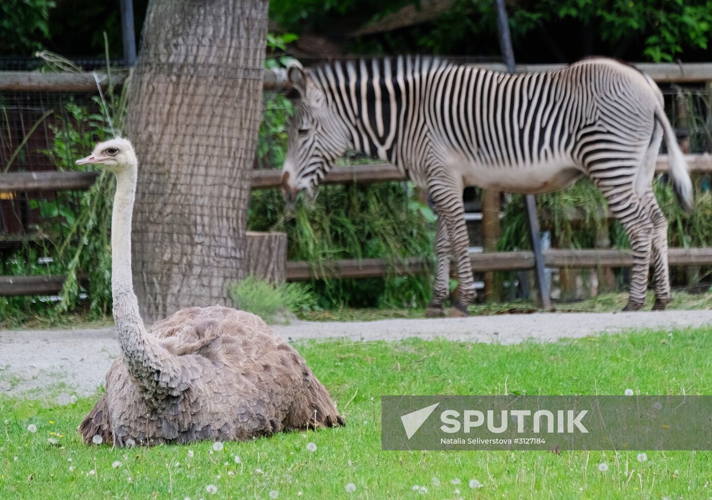 Moscow Zoo