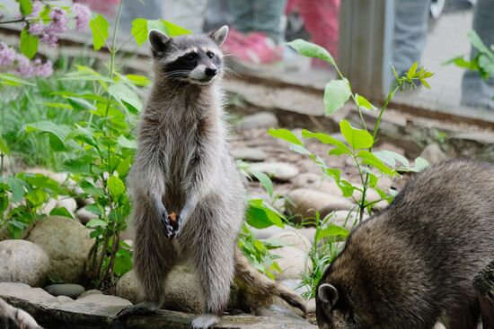 Moscow Zoo