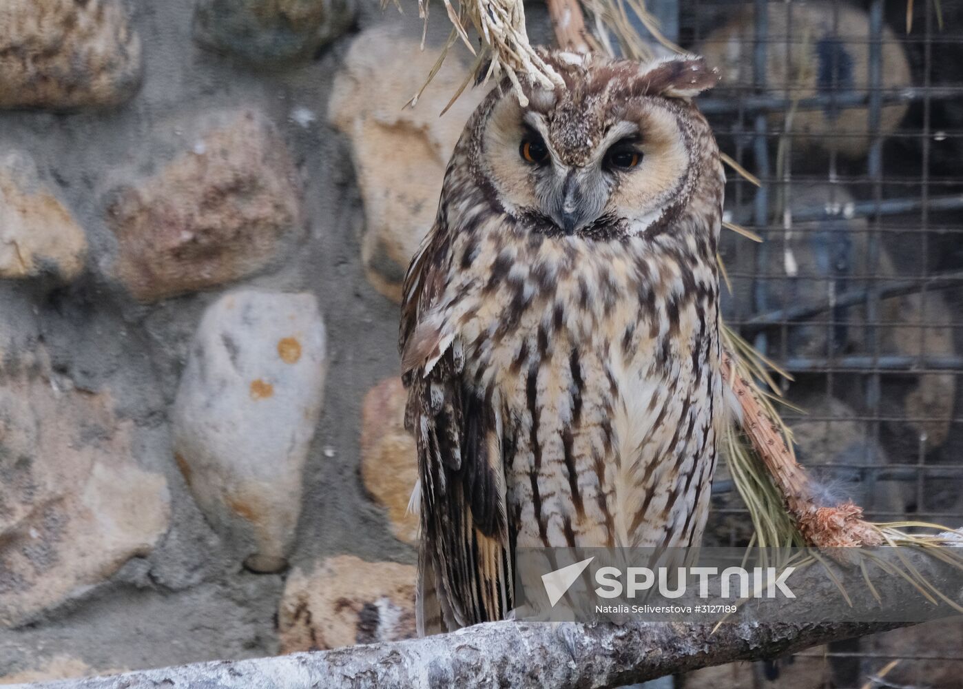 Moscow Zoo