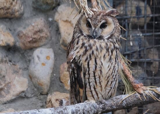 Moscow Zoo
