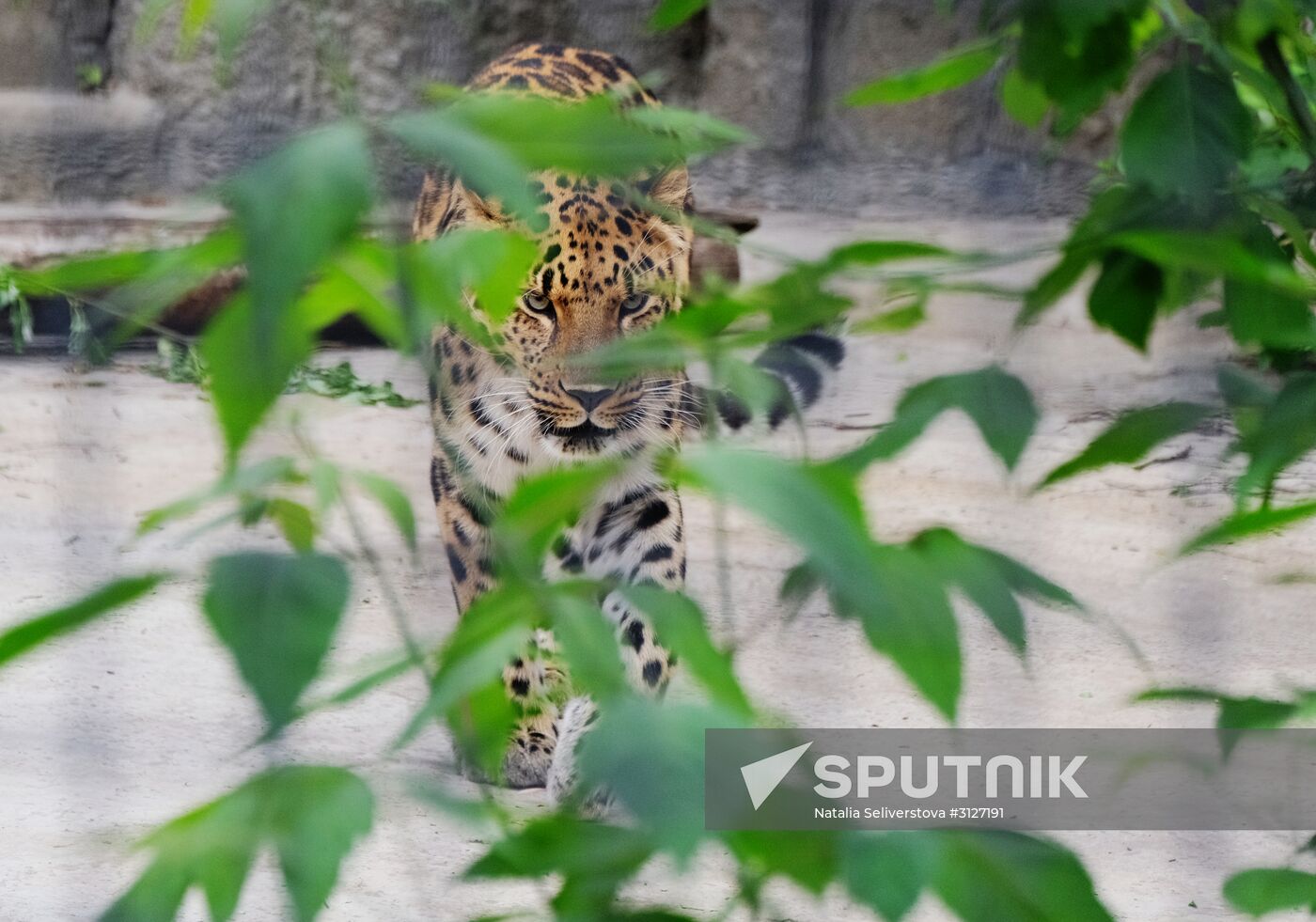 Moscow Zoo