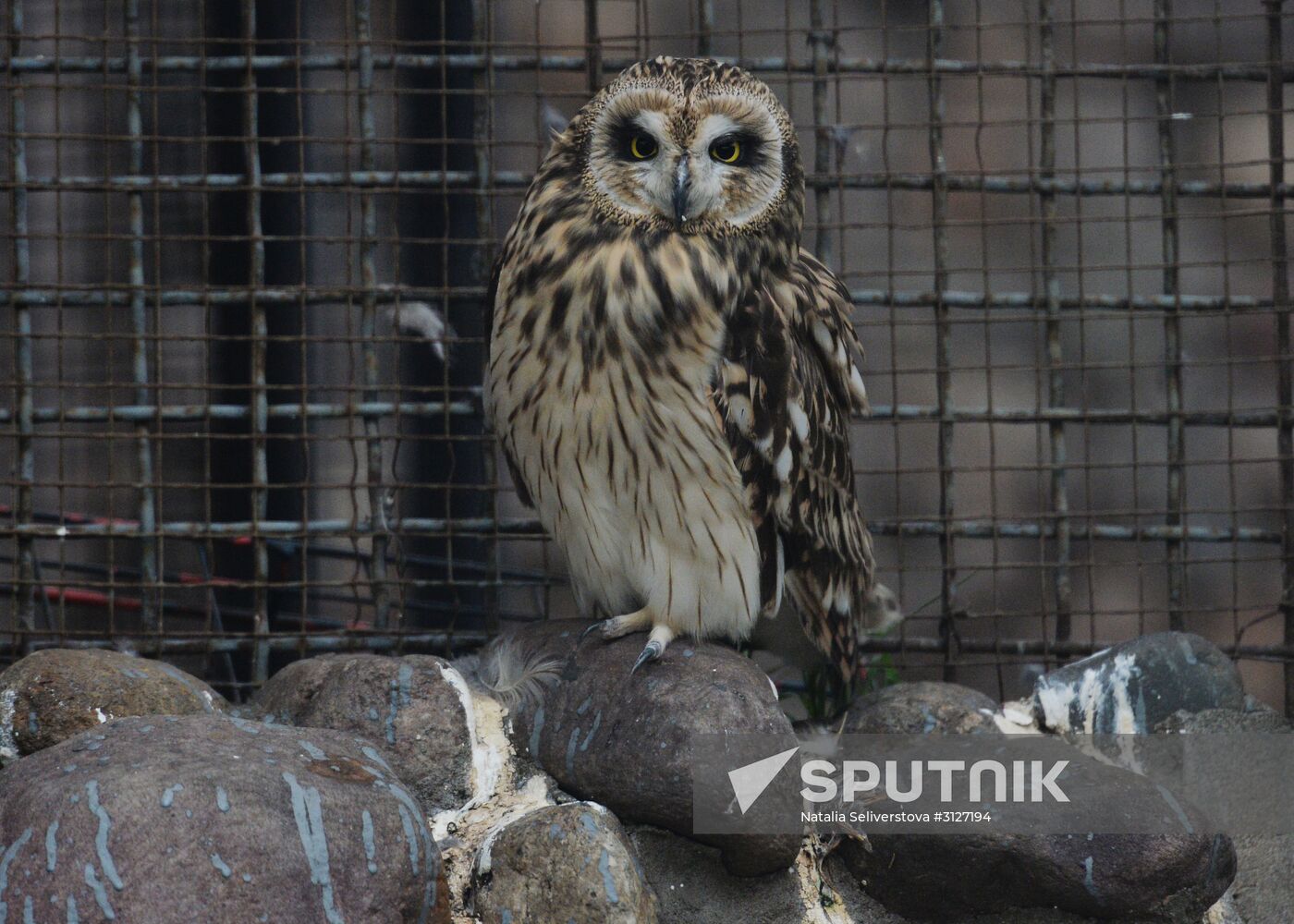 Moscow Zoo