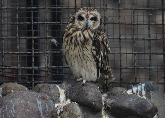 Moscow Zoo