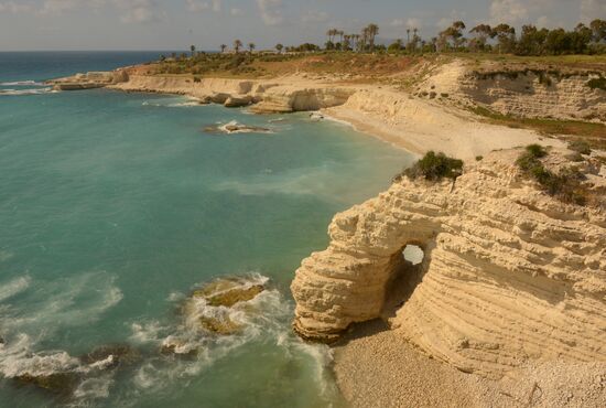 World countries. Syria