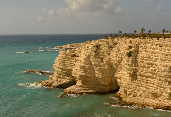 World countries. Syria