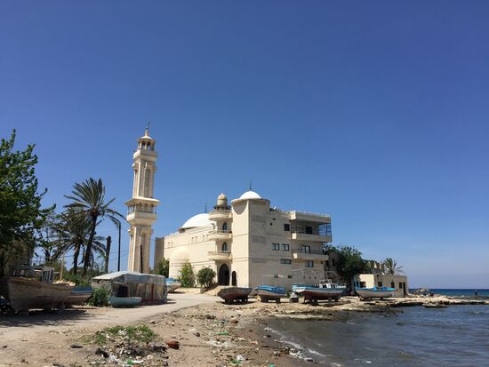 Countries of the world. Syria