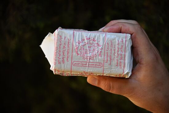 Yeast manufacturing plant in Homs
