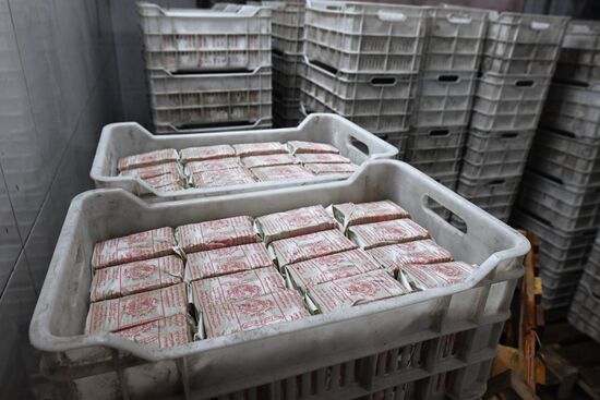 Yeast manufacturing plant in Homs