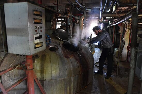 Yeast manufacturing plant in Homs
