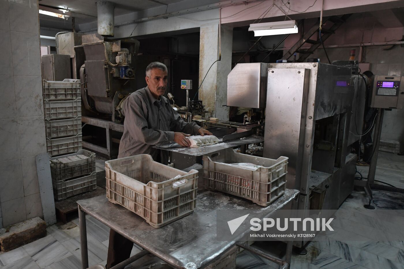 Yeast manufacturing plant in Homs