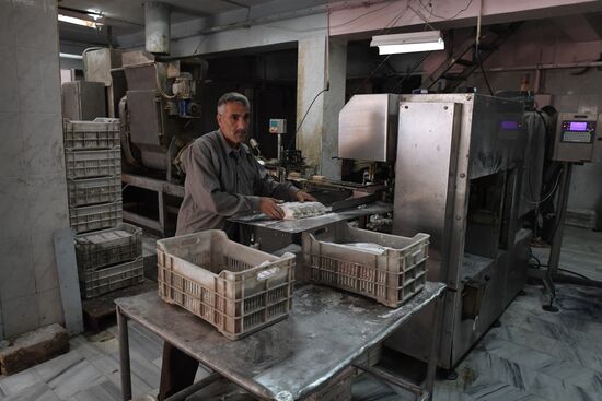 Yeast manufacturing plant in Homs