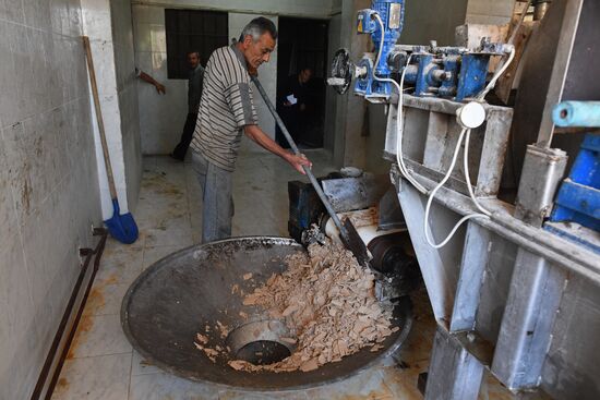 Yeast manufacturing plant in Homs