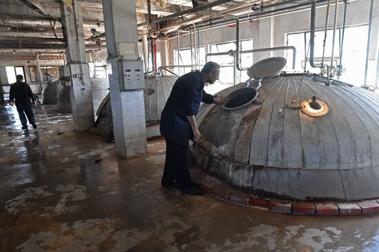 Yeast manufacturing plant in Homs