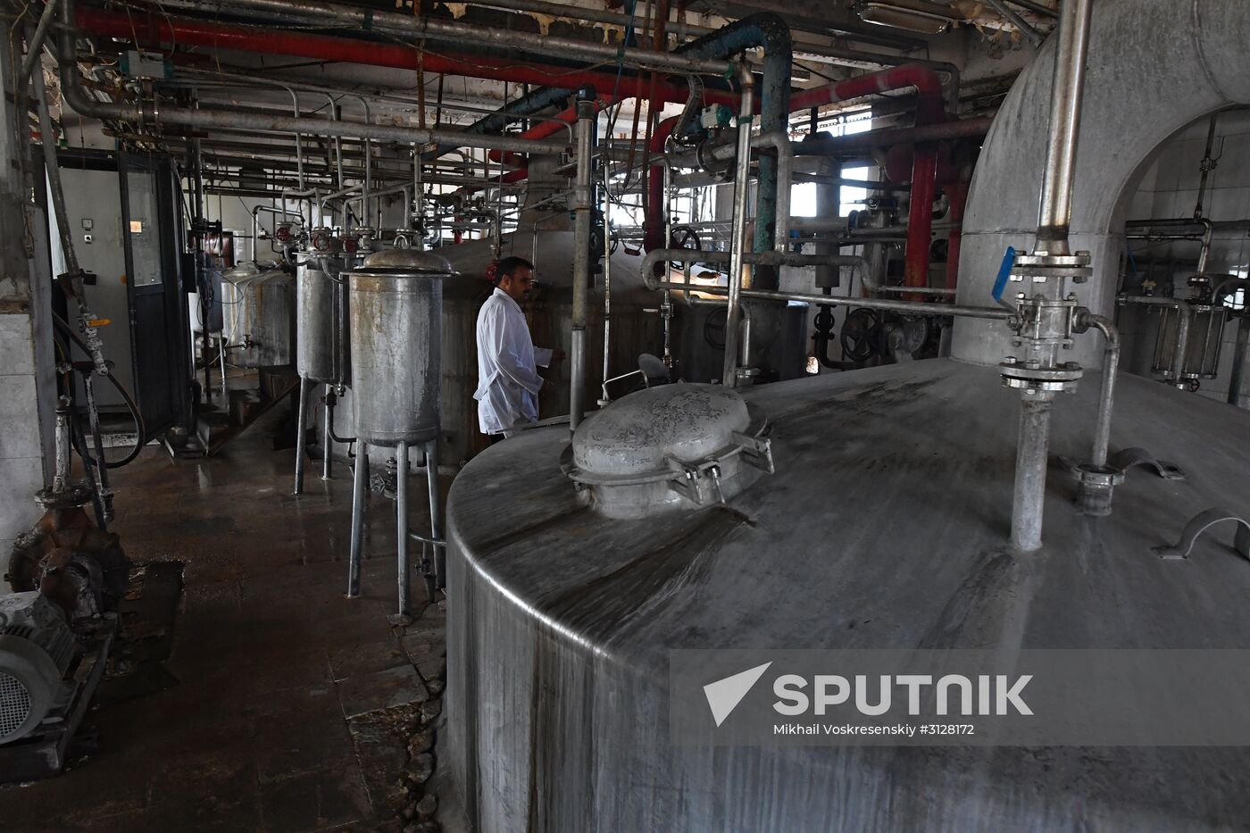 Yeast manufacturing plant in Homs