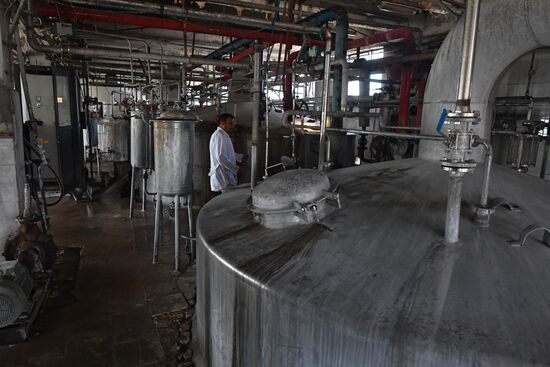 Yeast manufacturing plant in Homs
