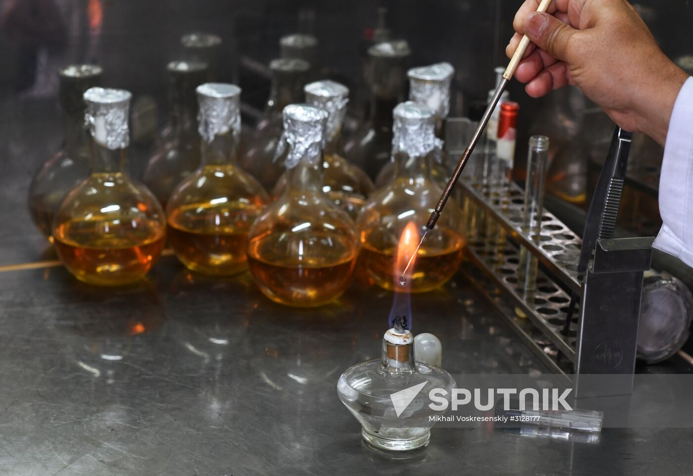 Yeast manufacturing plant in Homs