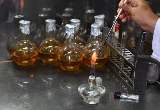 Yeast manufacturing plant in Homs