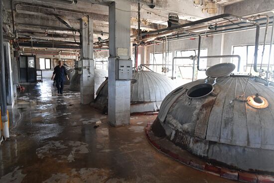 Yeast manufacturing plant in Homs