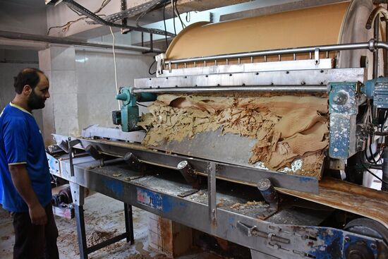 Yeast manufacturing plant in Homs