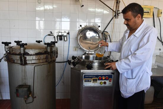 Yeast manufacturing plant in Homs