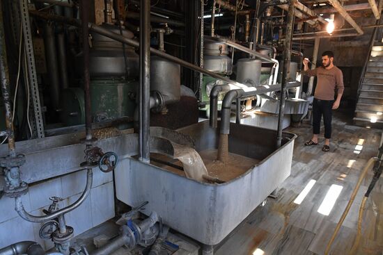 Yeast manufacturing plant in Homs