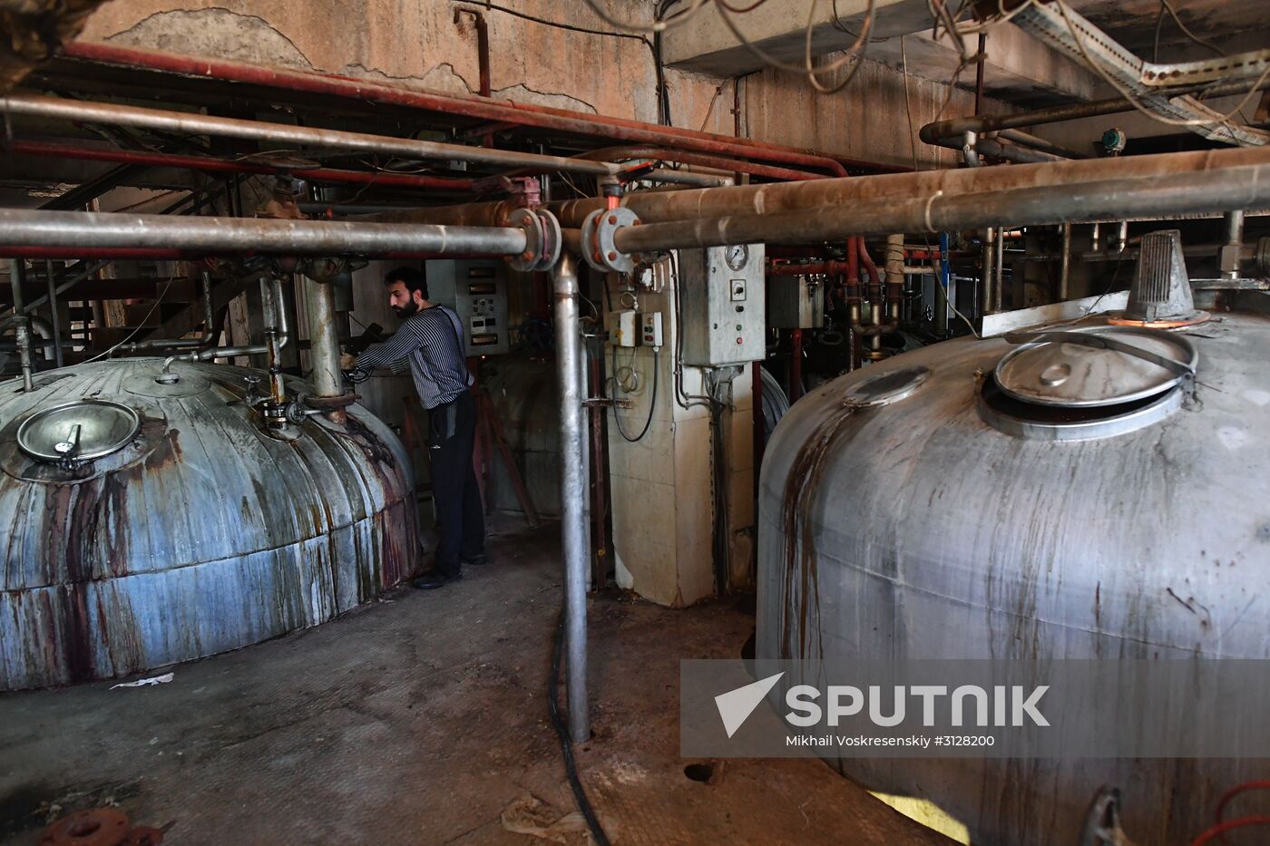 Yeast manufacturing plant in Homs