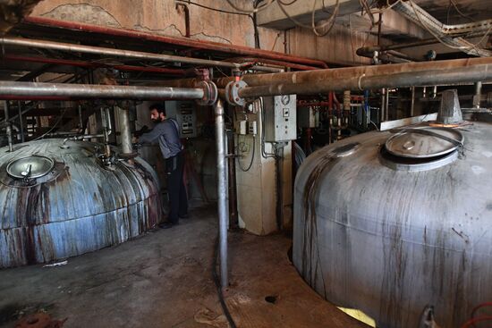 Yeast manufacturing plant in Homs