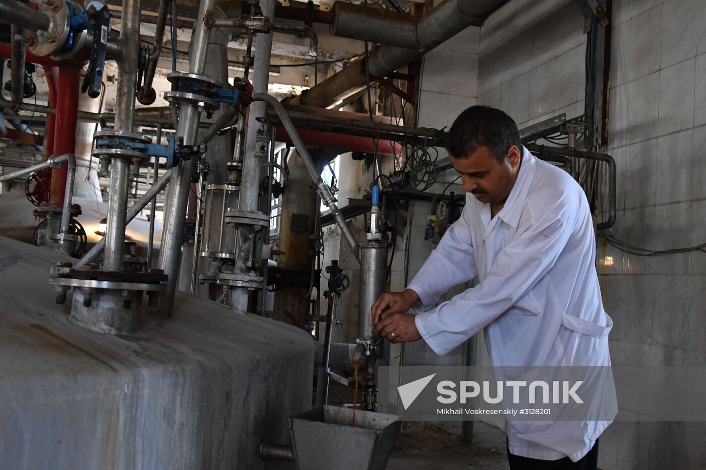 Yeast manufacturing plant in Homs