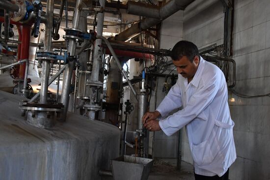 Yeast manufacturing plant in Homs