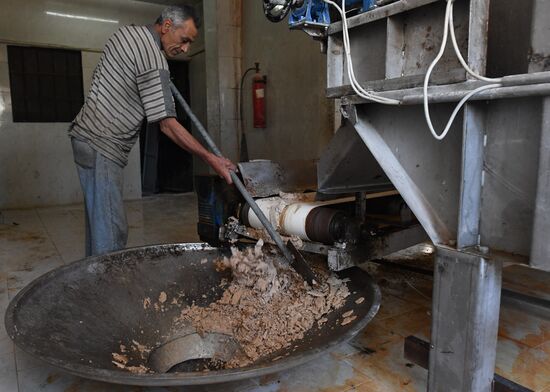 Yeast manufacturing plant in Homs